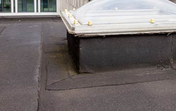 disadvantages of Bardon Mill flat roofs